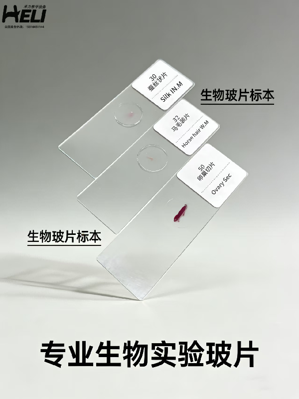 生物實驗玻片標本